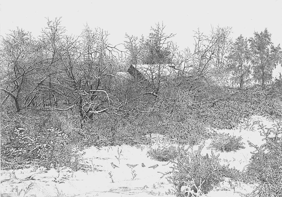 Выставка картин юрия чурсина в севастополе июль 2016 фото - культура - новости крыма sevas.com