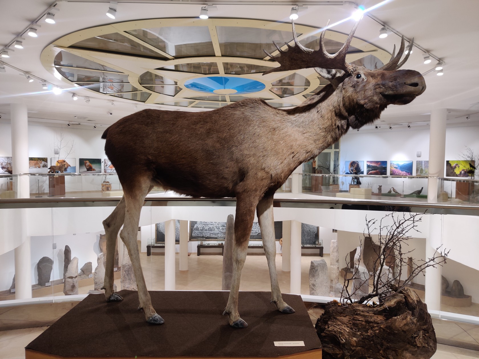 Знай наших: шесть известных харьковских художников