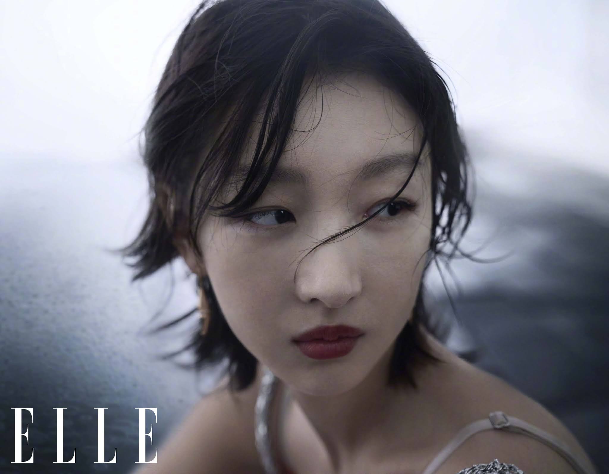 Китайская живопись гохуа: история развития различных техник, стиль сеи, рисунки жирных людей и картины тушью