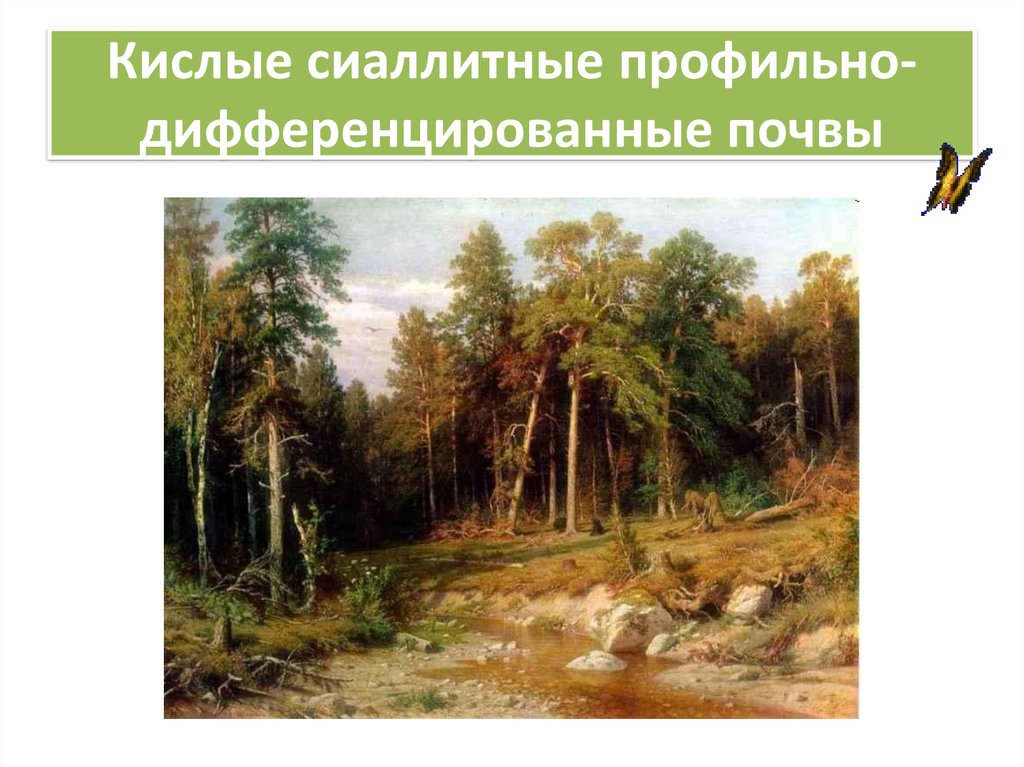 Описание картины ивана крамского «портрет шишкина»