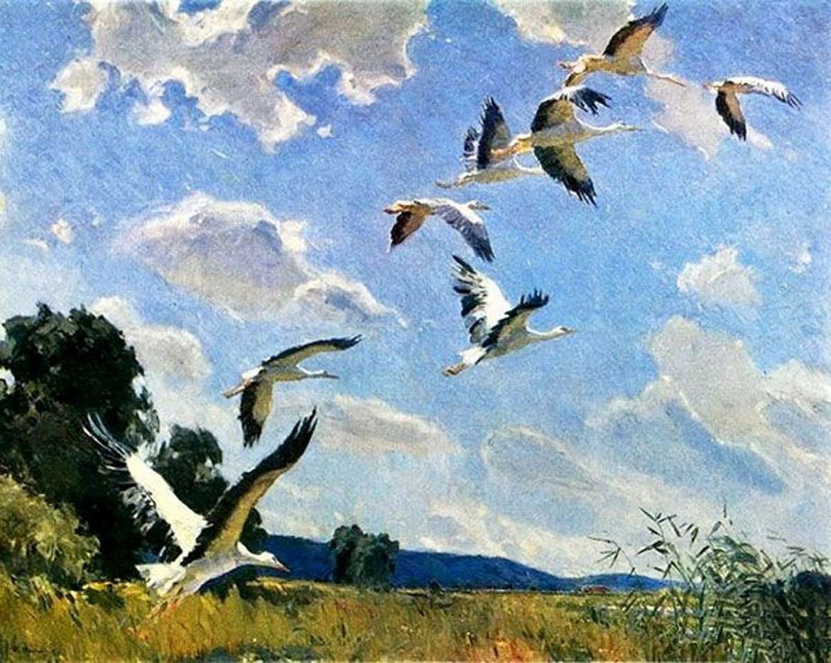 Иван александровский – гений, опередивший время