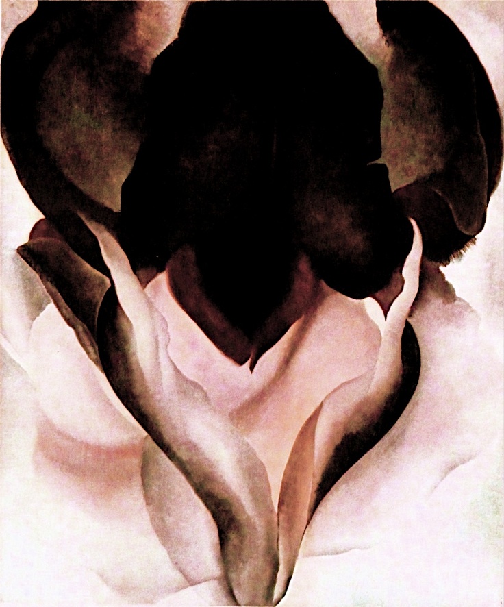 Black iris iii and the flower as symbol in o’keeffe’s painting
