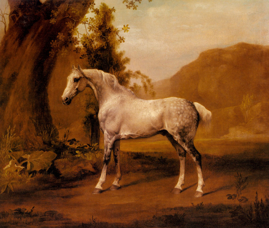 Masterpiece story: whistlejacket by george stubbs