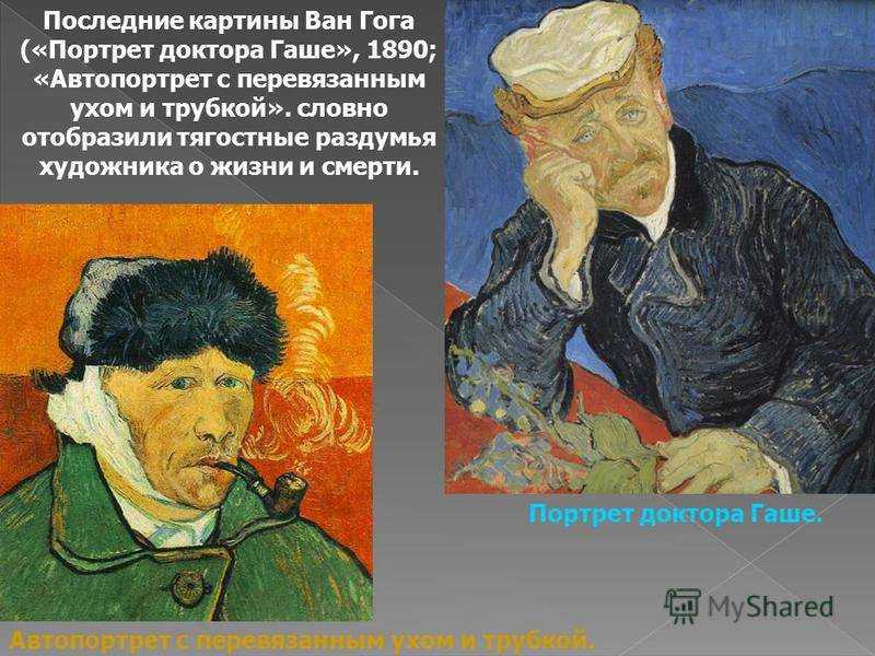 Портрет доктора феликса рея