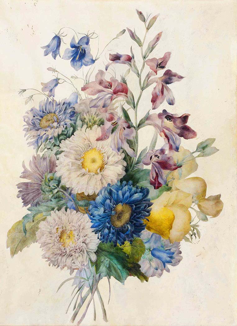 Pierre-joseph redouté (july 10, 1759 — june 19, 1840), belgian artist, botanist, engraver, illustrator, scientist | 
                world biographical encyclopedia