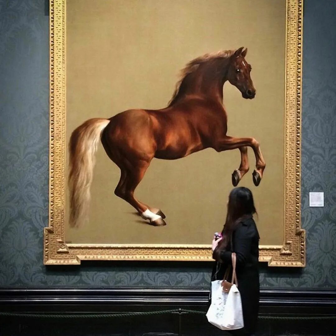 The anatomy of the horse by george stubbs | diffusion library