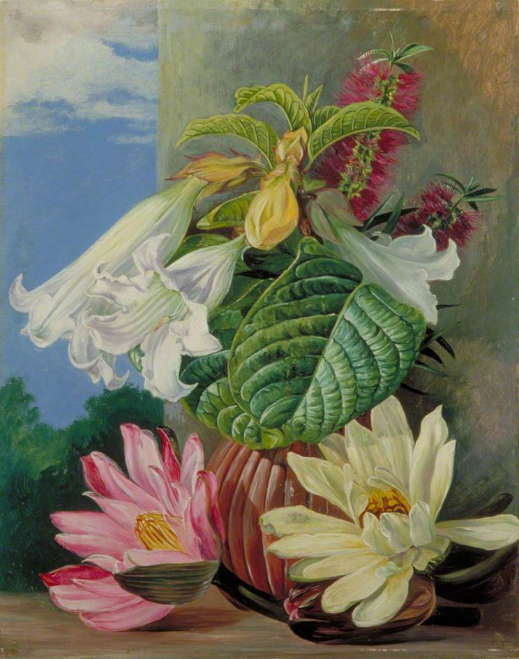 Норт, марианна