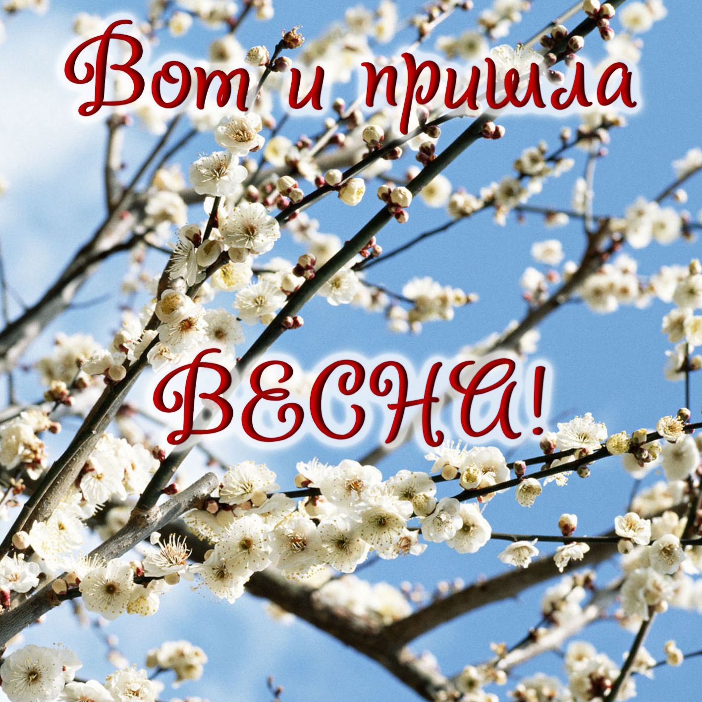 Сальвадор дали