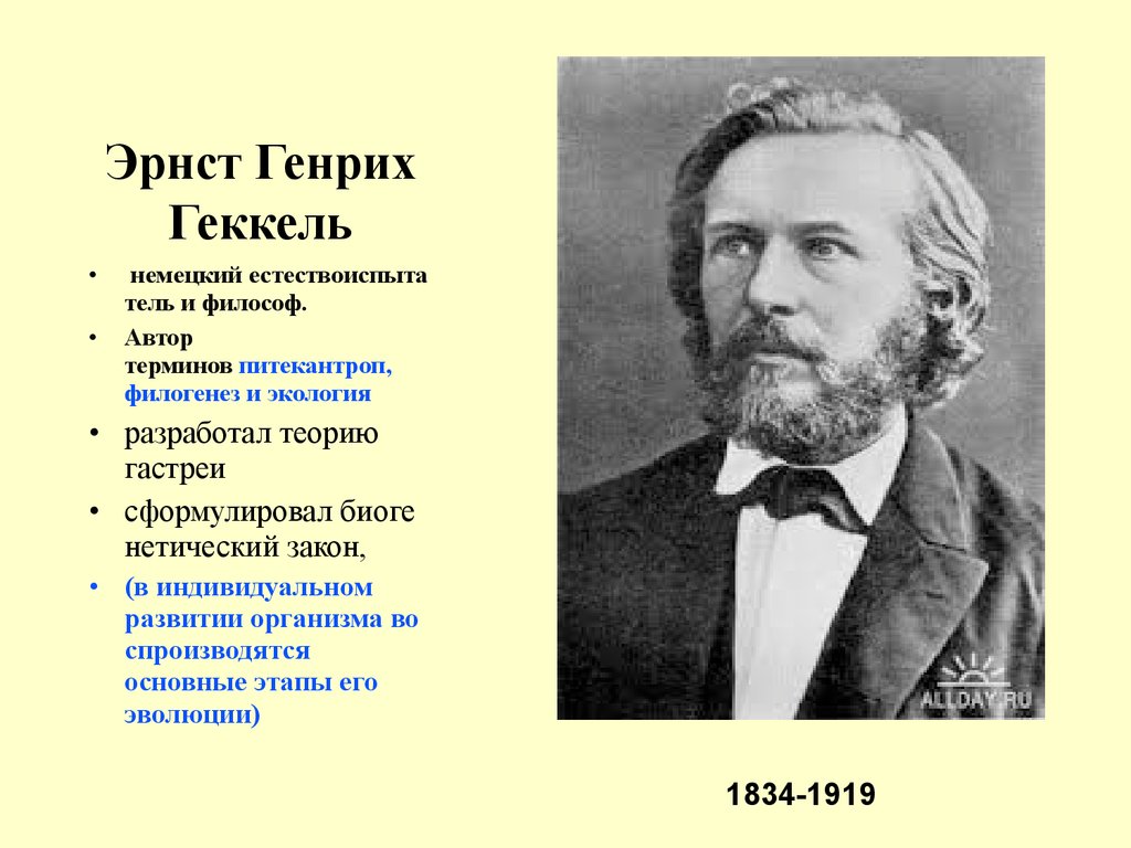 Эрнст геккель и его тройная гравюра