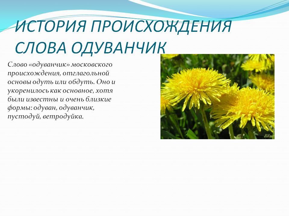 Сочинение по картине и. и. левитана «одуванчики. описание картины левитана «одуванчики