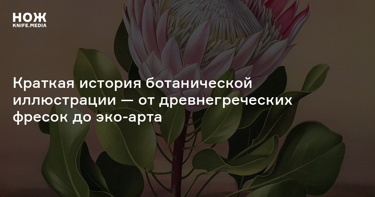 Лилия бернес-бодрова – биография