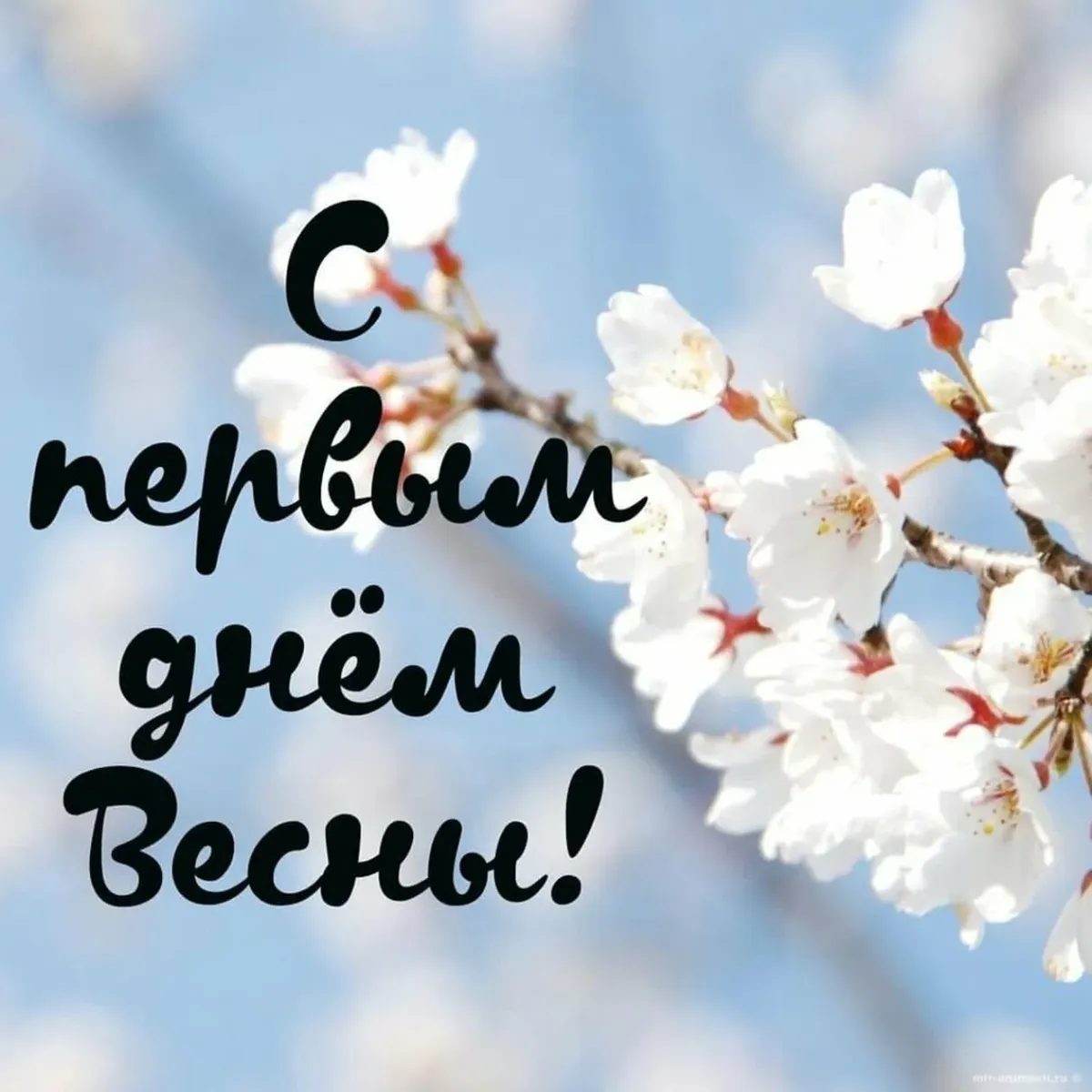 Сальвадор дали
