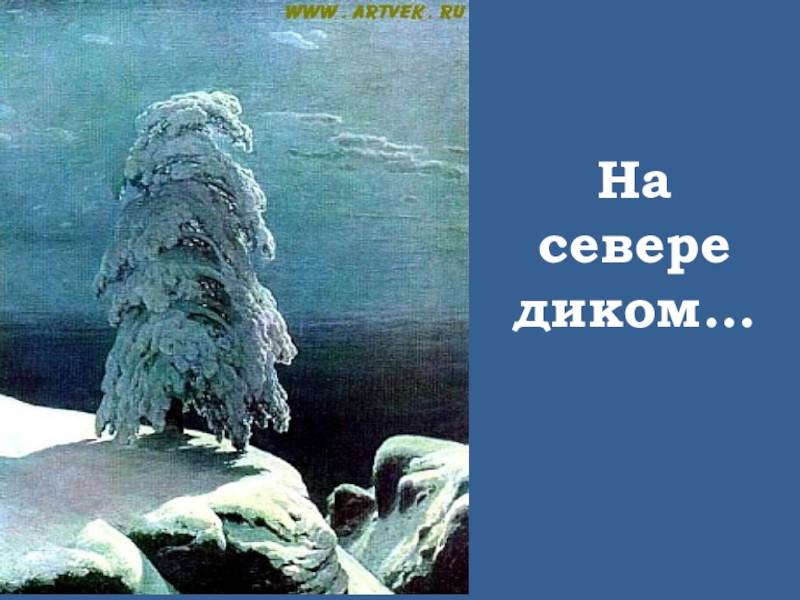 Testsoch.ru