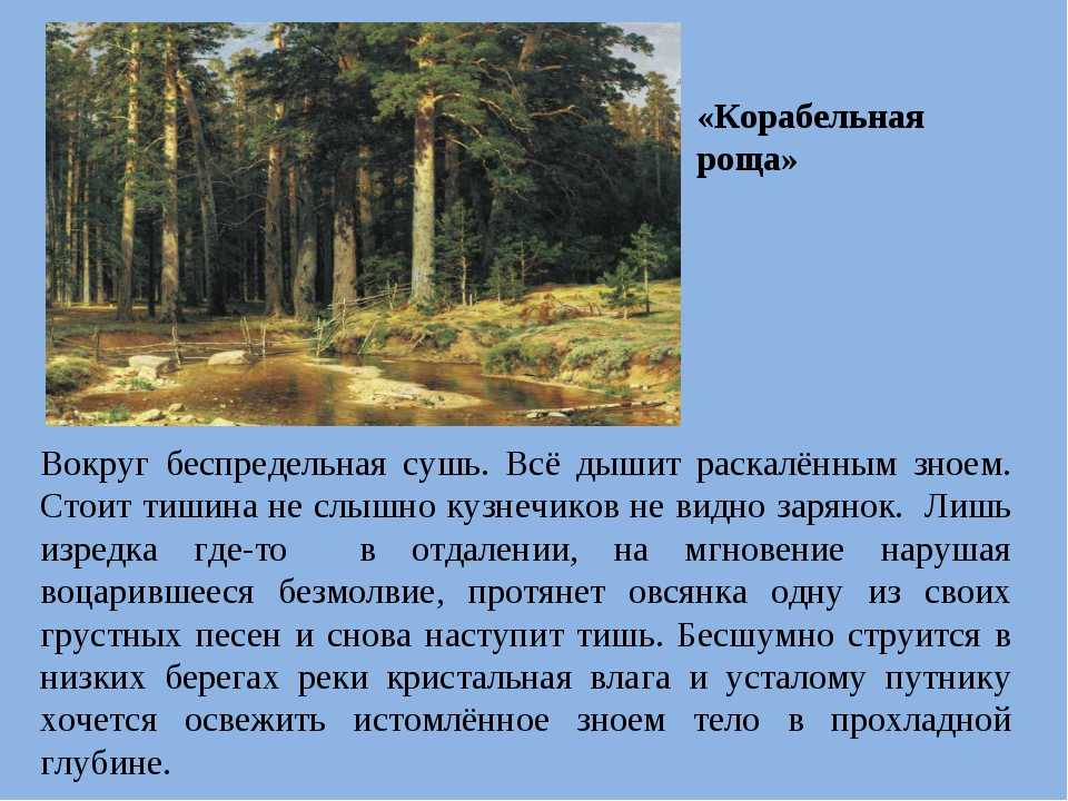Цвет и свет картины корабельная роща. иван иванович шишкин